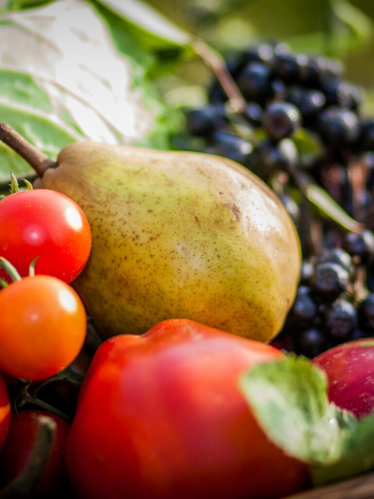 Calm Fit Living – Nutrition, Mental Wellness, and Fitness Motivation