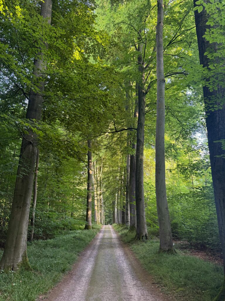 Spending time in nature to reduce stress naturally
