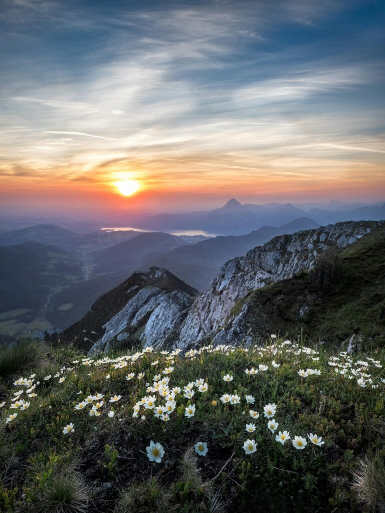 Start your day right with healthy morning habits like waking up early and embracing morning light